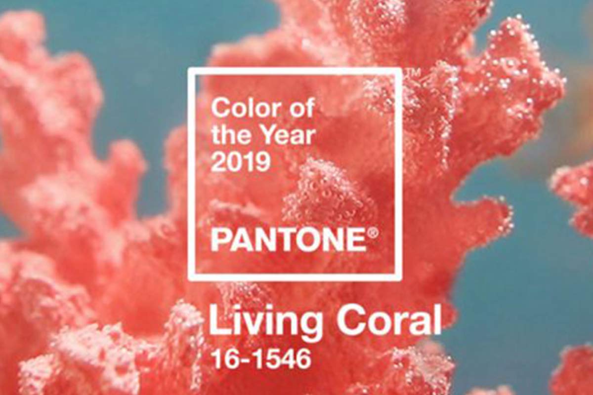 2019: Living Coral